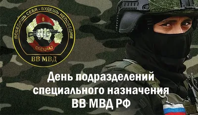 Нашивки Внутренних войск МВД России. Сокол с мечом (Белый попугай) и  Штандарт ВВ. Вышивка. — покупайте на Auction.ru по выгодной цене. Лот из  ЦФО России. Продавец МихВ. Лот 99910912825442