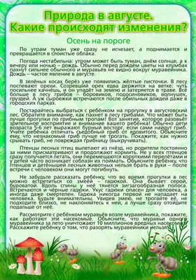 Большое Удовольствие. Очаровательная Спокойная Молодая Женщина Стоит У Моря  С Закрытыми Глазами И Выражает Восторг. Она Позирует На Фоне Чудесного  Заката, Наслаждаясь Последними Лучами Солнца. Фотография, картинки,  изображения и сток-фотография без роялти.