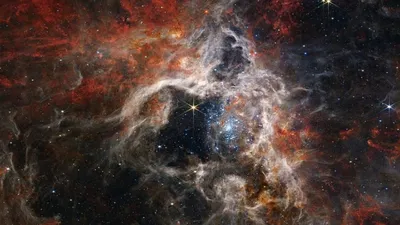 Фотообои и фрески на стену купить интернет магазин студия изготовление на  заказ | Фотообои высокого качества