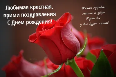 З днем народження 🥂 | Happy birthday greetings, Birthday greetings, Happy  birthday