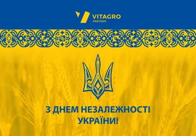 З Днем Незалежності, Україно! – Міністерство з питань реінтеграції  тимчасово окупованих територій України