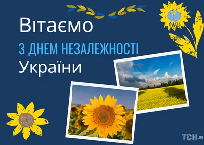 З Днем Незалежності України – Львівська національна наукова бібліотека  України імені В. Стефаника