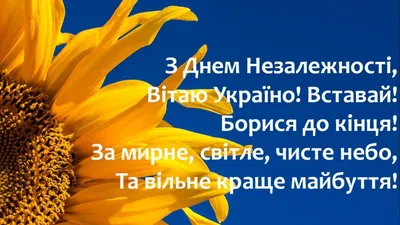 Поздравления с Днем Независимости Украины 2023 - поздравления и открытки -  Lifestyle 24