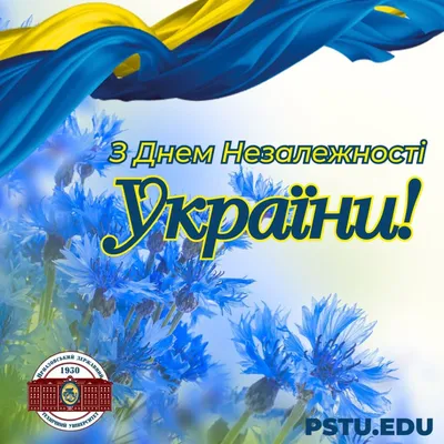 Привітання в. о. Голови Держгеокадастру Сергія Завадського з Днем  незалежності України – Державна служба України з питань геодезії,  картографії та кадастру