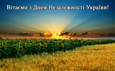 Вітання з Днем Незалежності України від компанії «Наукові Публікації»