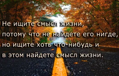 доброеутро #утро #жизнь #хаха #я #цитаты | Instagram