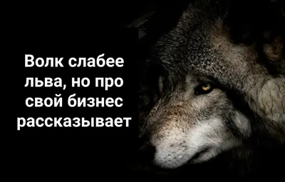 Картинка жизнь прекрасна. Жизнь — не те дни, что прошли, а те, что  запомнились. П.А.Павленко | Мудрые цитаты, Красивые цитаты, Цитаты