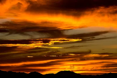 Ever wonder about the beauty of Arizona sunsets?