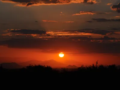 See Why the Sky Is Blue and Sunset Is Red - Easy Experiment