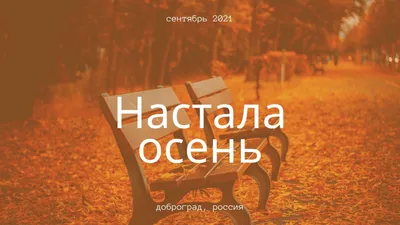 Цветы широкоформатные обои и HD обои для рабочего стола - Страница 1