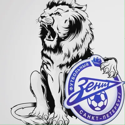 Картинка на рабочий стол 29, зенит, футбол, fc zenit st.pt., халк, hulk  2560 x 1600