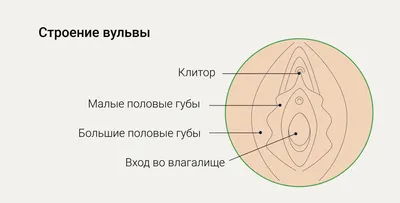 Интимная гигиена: техника, правила и средства