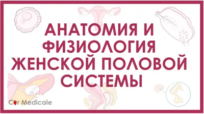 Зуд во влагалище: симптом, требующий внимания - читать онлайн. Клиника  М-Вита Москва, Ховрино