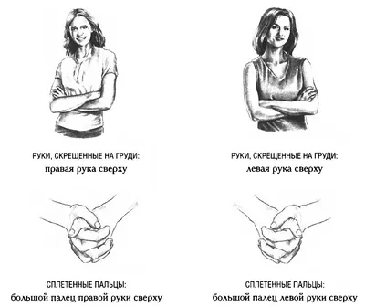 Жесты за 5 минут. Взгляд, мимика, движения руками. Эффективная невербальная  коммуникация. - YouTube