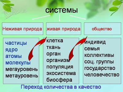 Вопросы и ответы о живой и неживой природе - купить с доставкой по Москве и  РФ по низкой цене | Официальный сайт издательства Робинс