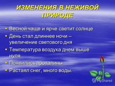 Комплект «STEM-образование. Экспериментирование с живой и неживой природой»