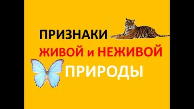 Объекты живой и неживой природы | Удоба - бесплатный конструктор  образовательных ресурсов