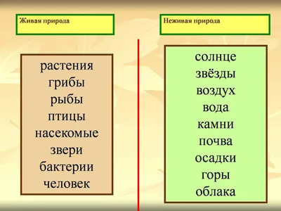 Тема урока: \"Единство живой и неживой природы\". 2-й класс