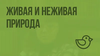 Рабочие листы по теме «Объекты живой природы. Сравнение объектов неживой и живой  природы: выделение различий». Базовый уровень