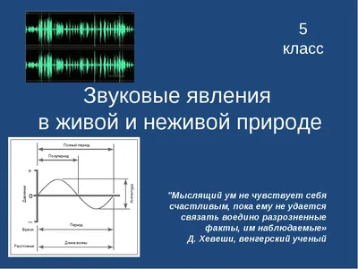 Занятие по лепке «Элементы живой и неживой природы» (3 фото). Воспитателям  детских садов, школьным учителям и педагогам - Маам.ру