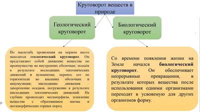 Звуковые явления в живой и неживой природе