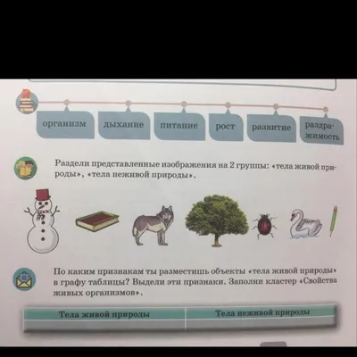 Картинки живой и неживой природы для детей 2 класс (дошкольников)