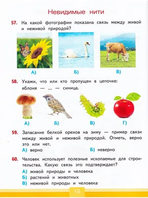 Ознакомление детей дошкольного возраста с живой и неживой природой» (9  фото). Воспитателям детских садов, школьным учителям и педагогам - Маам.ру