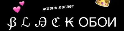 Иллюстрация 4 из 7 для Принцип дельфина. Жизнь верхом на волне - Гратовски,  Гратовски | Лабиринт - книги.