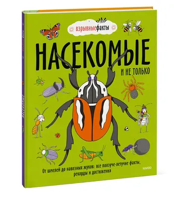 Фото жуков насекомых - полезная информация и изображения | Жуки насекомые  Фото №1901541 скачать