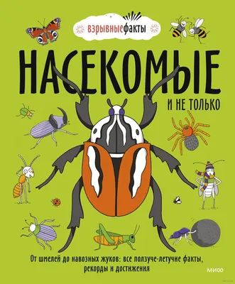 Различные виды жуков на белом фоне. Концепция исследования насекомых  руководства исследований. Плоский положите стиль Стоковое Изображение -  изображение насчитывающей изверг, развилки: 171254761