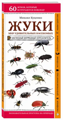 Купить Заводные игрушки-жуки с заводным механизмом | Имитированные фигурки  жуков | Игрушка-модель жука Tricky Props, любимец вечеринки | Joom