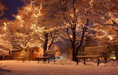 Фотография Новый год зимние Природа Снег Парки Ночь Гирлянда Скамейка  Города Деревья Праздники Рождество Зима Скам… | Зимние картинки, Фоновые  рисунки, Зимние сцены