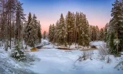 Рисунок Зима в лесу №264064 - «Зимняя сказка» (04.12.2021 - 19:59)