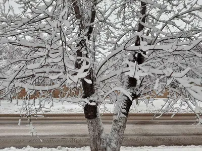 Зима Весна лето осень фон - 34 фото