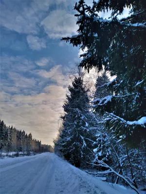 Зимняя дорога. Фотограф Михаил