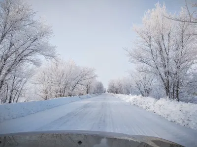 Зимняя дорога - фото автора Колос на сайте Сергиев.ru