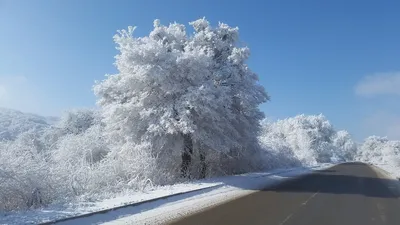 Зимняя дорога