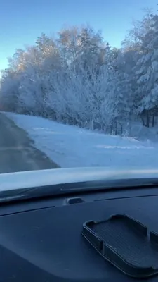 Зимняя дорога в лесу на закате — Фото №1354809