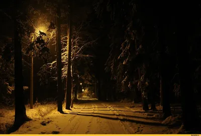 Зима приходит ночью... — конкурс \"Ночной город\" — Фотоконкурс.ру