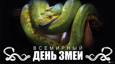 Рисунок змеи Раскраска, змея, ребенок, животные, здание png | PNGWing