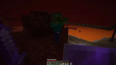 Minecraft - Iron bars: 1 Zombies: 0 | Facebook