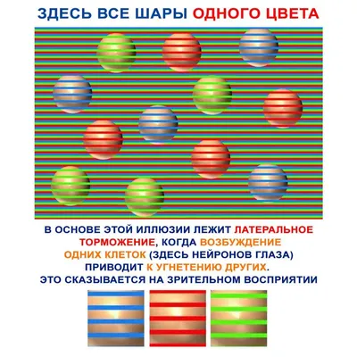 Обман зрения в картинках: иллюзия - презентация онлайн