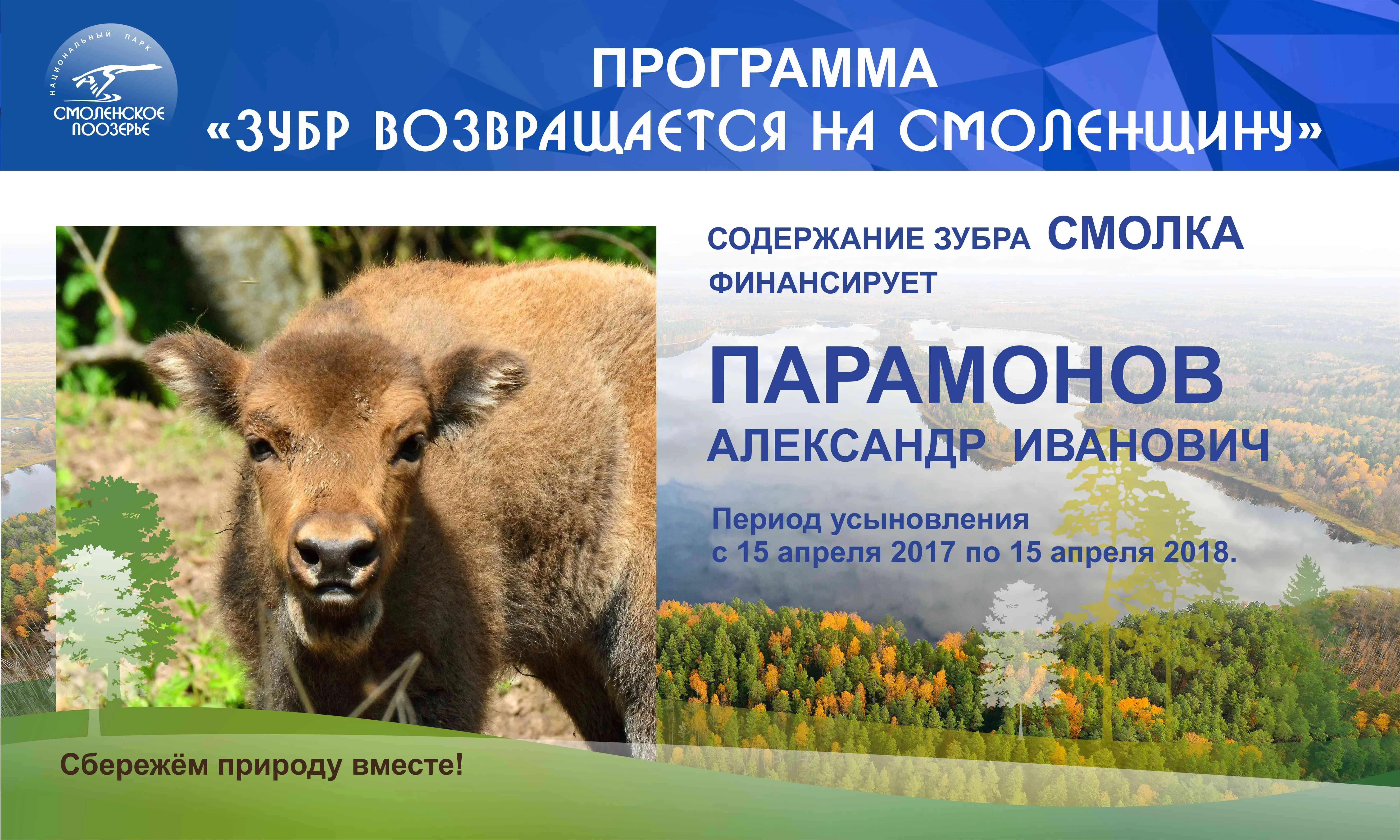 Здоров как бык. В Башкирии вырастят собственную популяцию зубров - СобкорУфа - Новости Уфы и Башкирии Здоров как бык. В Башкирии вырастят собственную популяцию зубров - СобкорУфа - Новости Уфы и Башкирии
