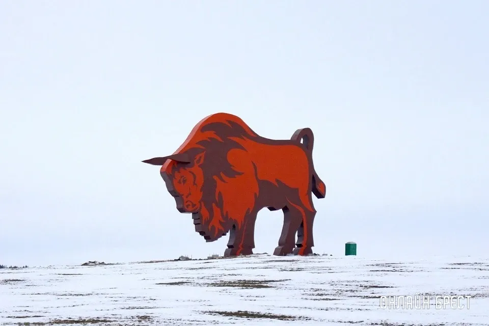 Два зубра-подростка едят из кормушки в лесу. Зубр (Bison bonasus) в Приокско-Террасном заповеднике foto de Stock | Adobe Stock Два зубра-подростка едят из кормушки в лесу. Зубр (Bison bonasus) в Приокско-Террасном заповеднике foto de Stock | Adobe Stock
