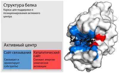 Настольная игра Путешествие к центру Земли Звезда 8833822 купить за 1 329 ₽  в интернет-магазине Wildberries