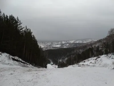 ЖК Тихие зори, дом Каштак корпус 1, цены, фото, планировки квартир, ход  строительства, официальный сайт, купить квартиру в ЖК