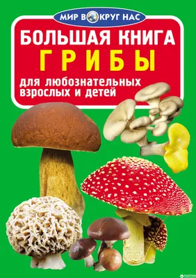 Большая книга. Грибы (1Ц) (9786170803757) – фото, отзывы, характеристики в  интернет-магазине ROZETKA | Купить в Украине: Киеве, Харькове, Днепре,  Одессе, Запорожье, Львове