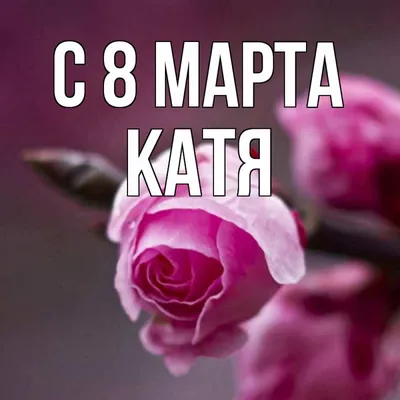 Открытка с именем Катя C 8 МАРТА розы на 8 марта. Открытки на каждый день с  именами и пожеланиями.