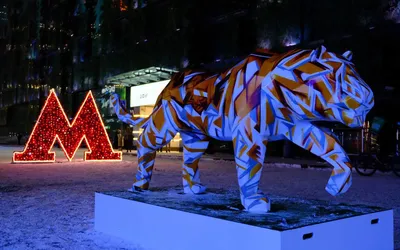 Три необычных катка Москвы: хоккейный, на башне «Москва-Сити» и на Красной  площади - KP.RU