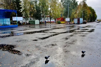 Архангельская область, ПАЗ-32054 № М 280 ТС 29 — Фото — Автобусный транспорт